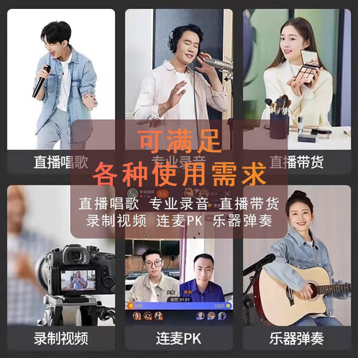 Audio-Technica AT2035 condenser microphone recording studio equipment set professional recording audio novel recording anchor live broadcast complete set of computer karaoke external sound card mobile phone microphone AT2035 + Midi R2 GEN II sound card set