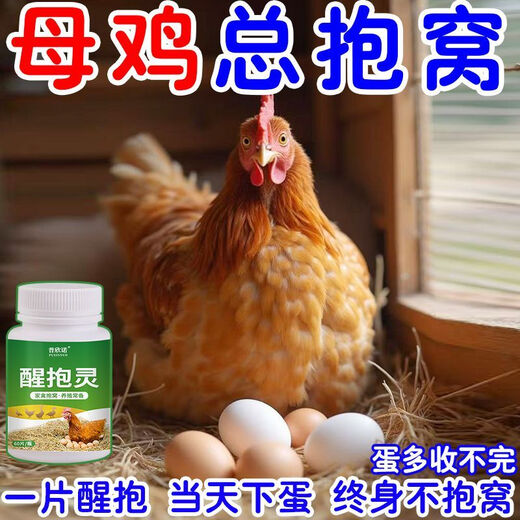 Xingbaoling hens wake up non-roosting chickens, ducks, geese and poultry to nest and love their nests. Feed additives for hatching eggs. Special bottle for hens to wake up and cuddle and fall in love with their nests.