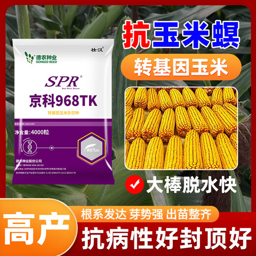 Strong man's genetically modified high-yielding corn seeds, Academy of Agricultural Sciences National Approval, Insect Resistance, Double Sticks, Large Sticks, Lodging Resistance, Drought Resistance, Disease Resistance, Corn Seeds, Transgenic Insect Resistance, High Germination Rate, 4000 grains, Disease Resistance