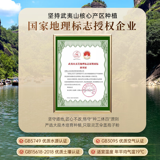 Yuanshengtai gebrochene Wand, biologisch angebautes Ganoderma-Sporenpulver, 10-g-Packung zur Stärkung der Immunität, Nahrungsergänzungsmittel und Gesundheitsprodukt für Menschen mittleren Alters und ältere Menschen, 2 g x 5 Beutel (5-Tages-Packung)