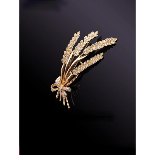 SNQP men's brooch brooch brooch badge badge suit accessories gift gold