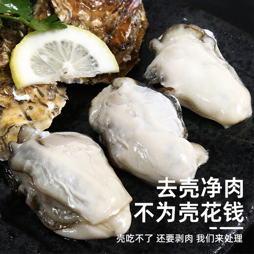 Haidingji Frozen Oyster Meat 800g (400g*2) Oyster Meat Hot Pot BBQ Ingredients Seafood Fresh New Year's Eve