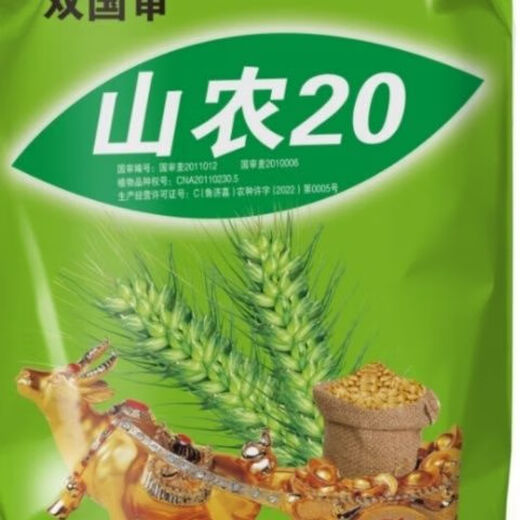 Wholesale nationally approved wheat seeds, original species, frost-resistant, lodging-resistant, rain-resistant, no buds, high-gluten wheat from the Academy of Agricultural Sciences, non-frozen, ton-produced original species, Shannong 20, 1 bag of 30 Jin, equal to 0.5 kg, now on sale