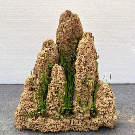 High-quality water stone bonsai rockery absorbent stone decoration natural water rust stone 10-14cm comes with grass seeds and about 17-22cm comes with grass seeds and stones