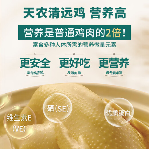 Tiannong slow-raised purebred Qingyuan chicken, net weight 2Jin Jin is equal to 0.5kg, Hong Kong free-range chicken, native chicken whole chicken frozen, ecological free-range chicken for 168 days