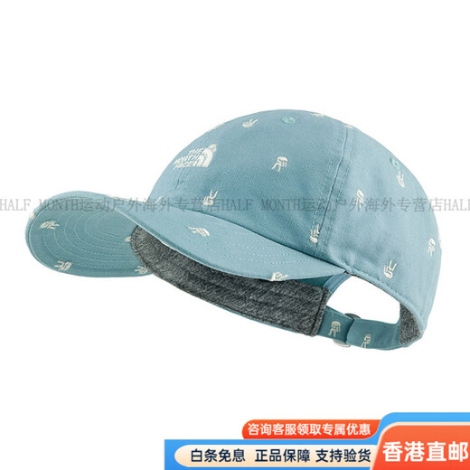 The North Face embroidered small logo baseball cap for men and women blue, high-looking, fashionable and versatile outdoor, blue