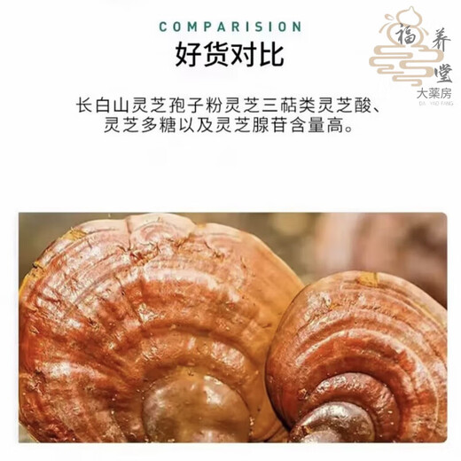 Zhizhitang Changbai Mountain selenium-rich organic red Ganoderma spore powder produced in Jilin, official and authentic, to enhance immunity for middle-aged and elderly people. Organic Ganoderma spore powder 250g/bottle can be consumed for 45 days.