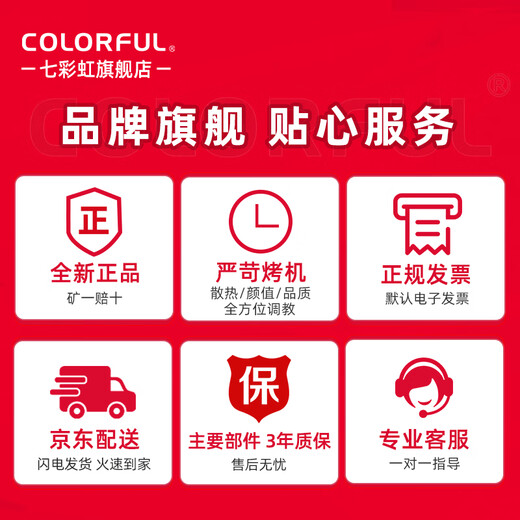 Colorful Sea View Host i5 12600KF/RTX4060Ti 5060TI Black Myth Wukong eSports Game Design Office Computer Host Desktop Assembly Machine with Four 12400F丨16G丨5060