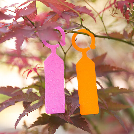 Ring label thickened plastic waterproof plant mark classification color card hanging mark grape seedlings white 100 pieces