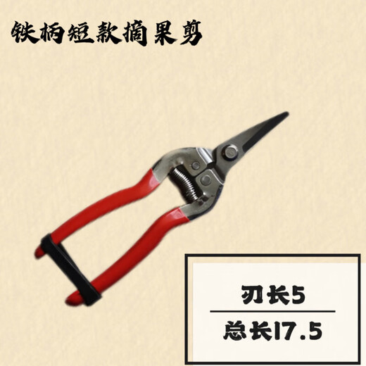 Fengxi thickened stainless steel fruit-picking scissors elbow scissors thinning fruit scissors for picking tomatoes and citrus scissors gardening scissors green thickened stainless steel long scissors with scissors 1 piece for trial