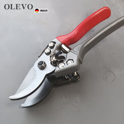 Olevo German imported quality Uncaria scissors double-head scissors Uncaria scissors special scissors Chinese herbal medicine scissors sharp scissors silver blade style