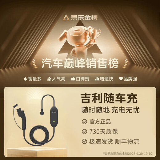 Geely Galaxy/Xingyuan Car Charger Gold List Hot Model Original Portable AC Charging Gun Geely Car Charger-5 Meter Gun Cable Original Factory Standard Configuration