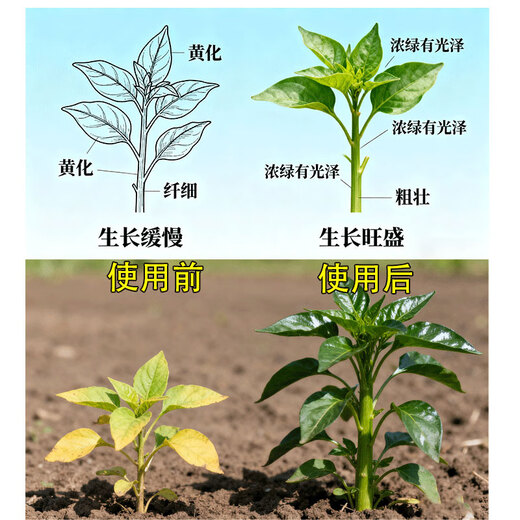 Quick-acting nitrogen fertilizer, medium granular 46% agricultural urea, general purpose for flowers, green plants, vegetables, fruits, vegetables and fruit trees, medium granular urea 46%, 1Jin Jin is equal to 0.5kg, packed