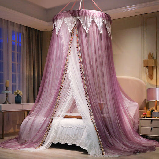 Yusenyi Customized 2022 New Installation-free Dome Ceiling Mosquito Net Home Princess Style Bedroom Hanging Floor-standing Tent Hair Ball-Rouge-Send Spare Suction Cup Without Light Double-layer Yarn 1 Point 2m 4 Feet Bed