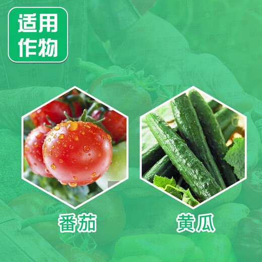 Bayer Germany Rufuda fluopyram tomato root-knot nematode cucumber powdery mildew pesticide fungicide 100ml