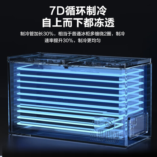 雪花冰柜商用家用冷柜卧式大容量全冷冻柜展示柜一级节能省电 668双温丨一级节能丨减霜80%
