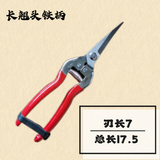 Fengxi thickened stainless steel fruit-picking scissors elbow scissors thinning fruit scissors for picking tomatoes and citrus scissors gardening scissors green thickened stainless steel long scissors with scissors 1 piece for trial