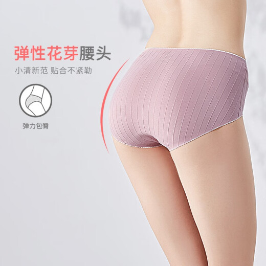Urban Beauty Underwear Women's Spring and Autumn Inseam Antibacterial Mid-waist Cotton Lightweight Seamless Ribbed Breathable Women's Combination Underwear 3 Pack ZK0A09 Rose Pink/Gray Blue/Gray Purple M