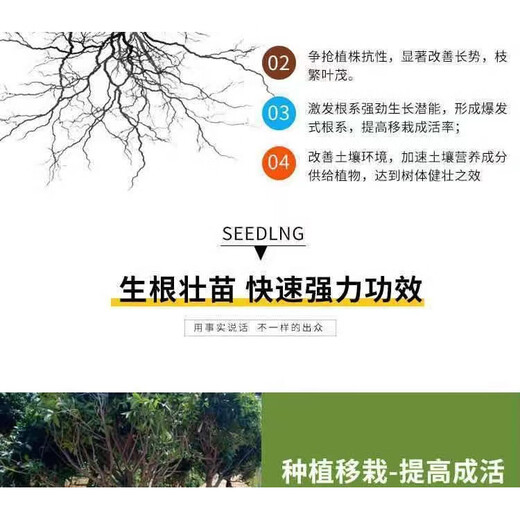 Phosphate Fertilizer Calcium Magnesium Phosphate Fertilizer Organic Silicon Flower Vegetable and Fruit Tree Adjustment Soil Compaction Anti-Crack Fruit Base Fertilizer General Fertilizer Organic Silicon Calcium Magnesium Phosphate Fertilizer 5Jin Jin equals 0.5 kg