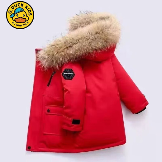 G.duck2025 new winter style boys' down cotton coat, Korean version, medium and large children's thickened mid-length large fur collar cotton coat, trendy black 120 105cm-115cm