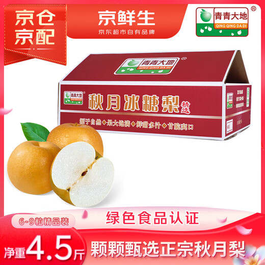 Jingxiansheng Qingqing Dadi Laiyang Mutton Fat Qiuyue Pear, net weight 4.5 Jin Jin equals 0.5 kg, 6-8 pieces, fresh fruit, gift box
