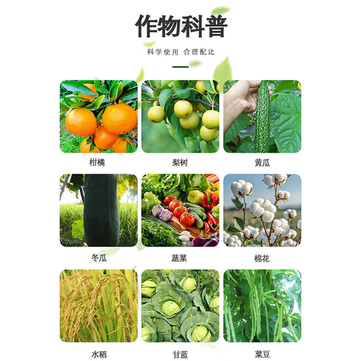 好利特丹微6%春雷霉素水稻果树蔬菜稻瘟野火病叶斑角斑枝枯病农药杀菌剂