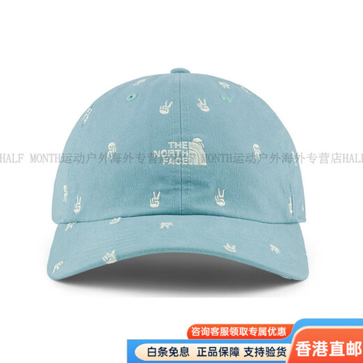 The North Face embroidered small logo baseball cap for men and women blue, high-looking, fashionable and versatile outdoor, blue