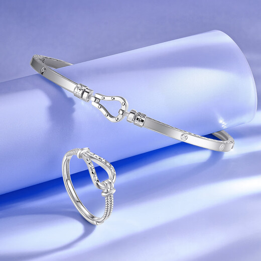 Wanfulong Seize Time Authentic PT950 Platinum Bracelet Horseshoe Buckle Classic Versatile Fashion Light Luxury Handmade Gift Gift PT950 Platinum Horseshoe Buckle Bracelet 11.16g