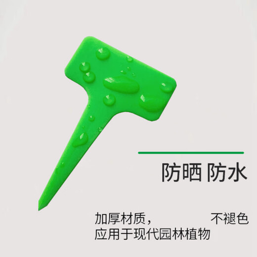 Garten-Sukkulente-Etikett, Gartenpflanze, Blumenname, Blumentopf, Kunststoff-Etikett, wasserfest, kleiner Einsatz, Sukkulententopf, zufällige Farbe, 100 Stück, kostenloser wasserfester Stift