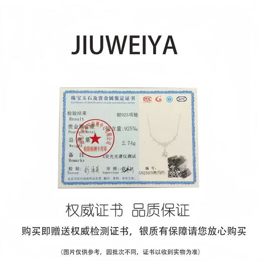 Juvia S925 sterling silver necklace wisteria flower for women, light luxury, niche temperament, high-end sense, wedding gift for girlfriend, birthday gift, wisteria flower necklace, gift box