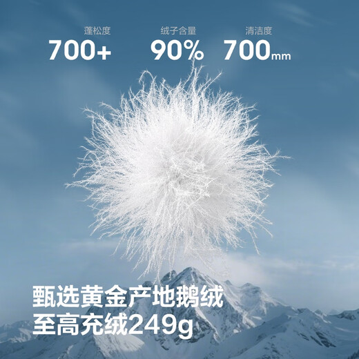 Bosideng 25 Years Extreme Cold Goose Down Down Jacket Men's Winter Thickened Hooded Short Versatile Warm Fashionable Jacket