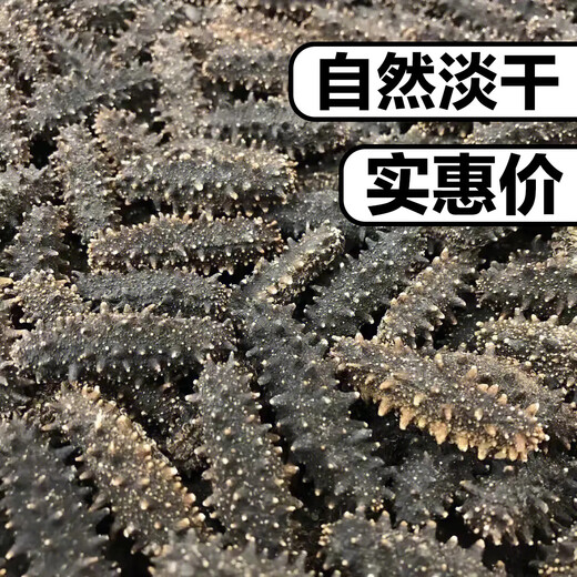 Dalian bottom-sown light-dried sea cucumber Mid-Autumn Festival gift box national standard really light-dried 15 times high foaming and high nutrition gift box 1 piece trial version