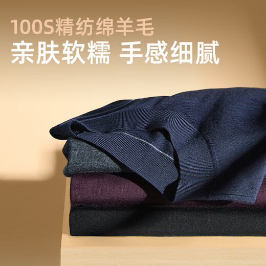 雅戈尔毛衫男全羊毛半高领羊毛衫超细毛条羊毛织物温暖舒适2025新品合款 黑色VYQW619965ABA L 105cm （推荐145-165斤）