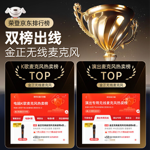 Jinzheng wireless microphone one-to-two wireless microphone karaoke home handheld microphone universal rechargeable microphone karaoke professional singing audio speaker dedicated single microphone OK-13D