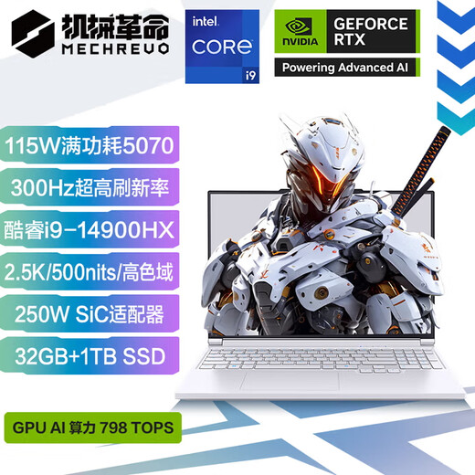 Mechanical Revolution Aurora