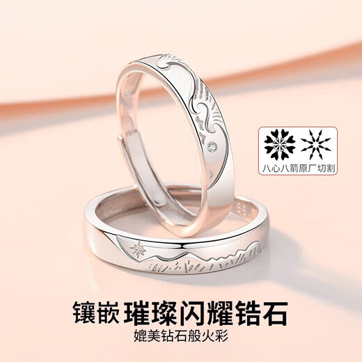 DR Everlasting Oath Platinum Couple Ring PT950 Platinum Pair of Rings Proposal Valentine's Day Birthday Gift for Girlfriend Everlasting Oath-Female Ring