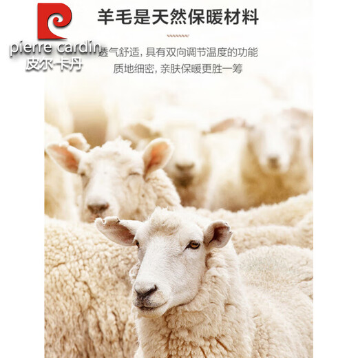 Pierre Cardin high-end striped wool suit suit men's business casual formal wear middle-aged men's banquet wedding suit no-iron suit gray MY5027 M 170/46