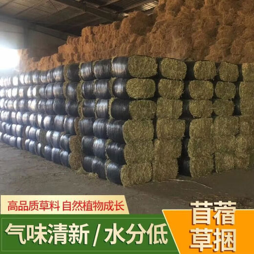 Alpaca fodder, cattle and sheep feed, alfalfa hay, sun-dried fodder, pig farm, sheep feed, cattle hay, alfalfa grass 1000 Jin Jin equals 0.5 kg