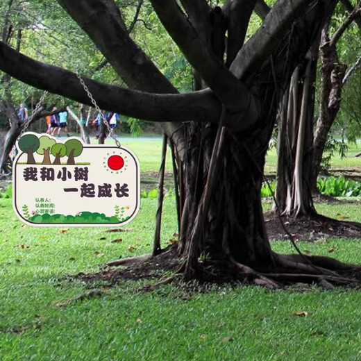 Arbor Day Listing Tree Planting Sign Tree Adoption Sign Kindergarten Sapling Adoption Sign Tree Signage DIY Customized 12 Tree Sign PVC Board with Hanging Chain 16x10cm