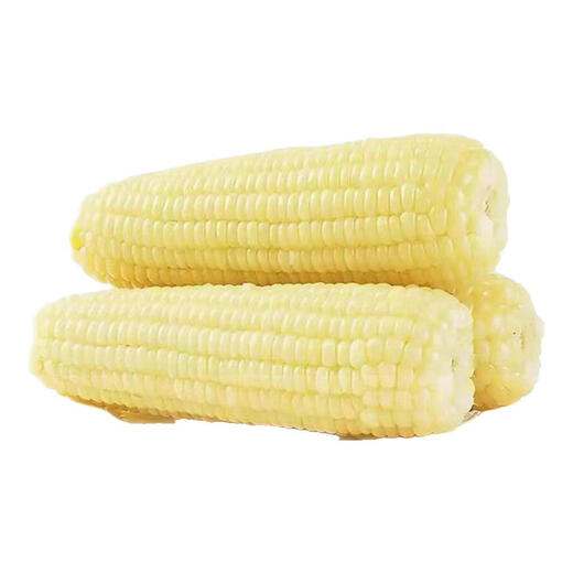 Dongdong Farm exclusively supplies authentic first-crop Northeast fresh waxy corn, soft and waxy brushed vacuum-packed breakfast, Northeast white waxy corn 6 pieces*200g+