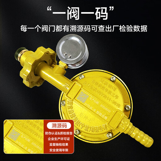Jushenhuo 2025 New National Standard Gas Tank Pressure Reducing Valve Household Explosion-proof Liquefied Gas Water Heater Gas Stove Low Pressure Valve New National Standard 0.6 Household Low Pressure丨Production License丨Leakproof + 2 Meter Explosion-proof Pipe Quality Assurance Lightning Delivery丨Fast Delivery