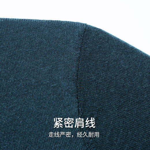 Hodo 100% wool machine washable autumn and winter wool sweater men's lapel sweater long-sleeved bottoming shirt