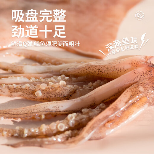 Haidingji deep-sea ship-frozen squid 1.6 Jin Jin equals 0.5 kg (400g*2) 4-6 pieces/pack Seafood and aquatic products BBQ New Year's Eve