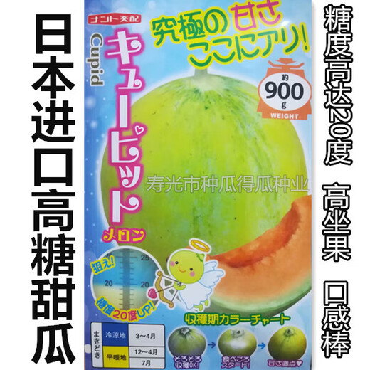 High-sugar melon seeds imported from Japan, fruit setting, good taste, melon seeds, spring vegetable seeds, 5 capsules