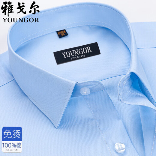 HARTMARX Youngor cotton non-iron long-sleeved shirt men's mall same style spring and autumn striped business formal shirt pure cotton 4017 blue stripe 39 recommended 100-120Jin Jin equals 0.5 kg