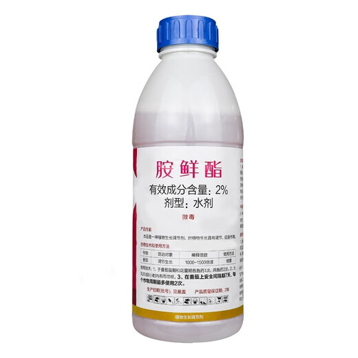 Jianpai Jianwufeng 2% amine fresh ester fat-water agent tomato tomato growth regulator plant growth regulator 500g*1 bottle