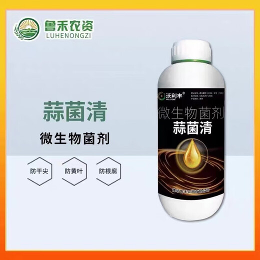 Garlic planting special early rooting and fast rooting seedlings to improve nutrition garlic Kangbacteria microbial agent prevention Garlic Bacteria Genuine original 500g * 1 bottle
