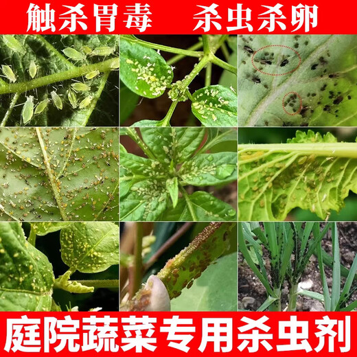 Tea bran powder insecticide, natural tea bran powder cake, tea seed bran tea seed bran cake, insecticide, garden vegetable household fertilizer, tea bran powder, coarse 5 Jin Jin equals 0.5 kg (free 5 filter bags)