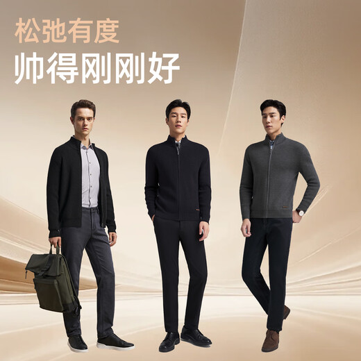 YOUNGOR sweater men's wool blended fabric men's stand-up collar zipper cardigan velvety and comfortable 2025 new arrival black VWHW619967ALA L 105cm (recommended 145-165Jin Jin equals 0.5kg)