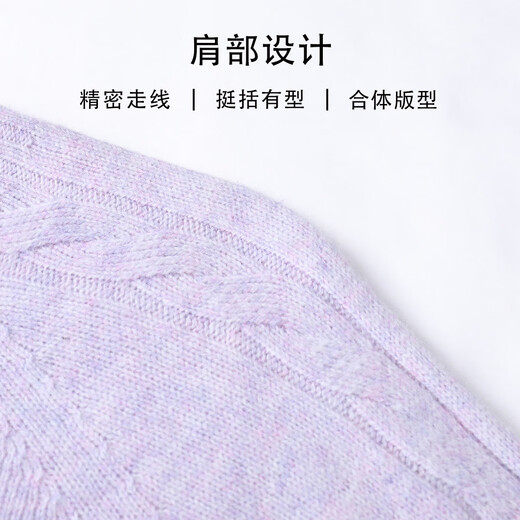 SNOWFLYING 100% sheep wool round neck cardigan women's simple solid color long-sleeved pullover autumn and winter warm sweater